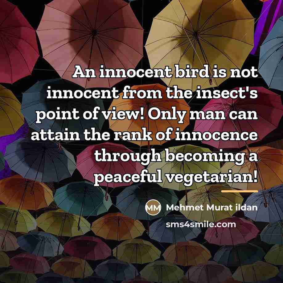 “An innocent bird is not innocent from the insect's point…” quote by Mehmet Murat Ildan
