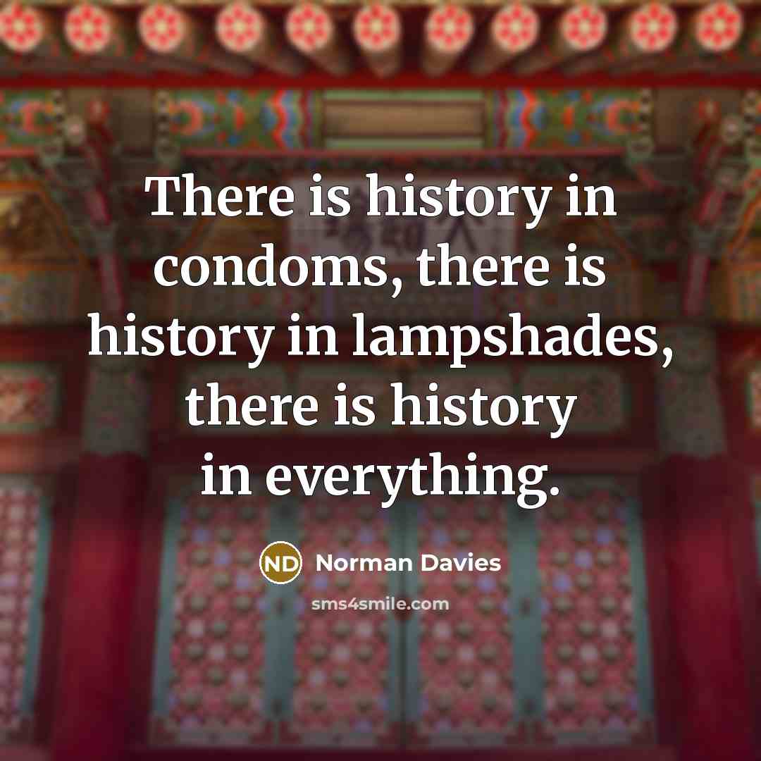 “There is history in condoms, there is history in lampshades,…” quote by Norman Davies
