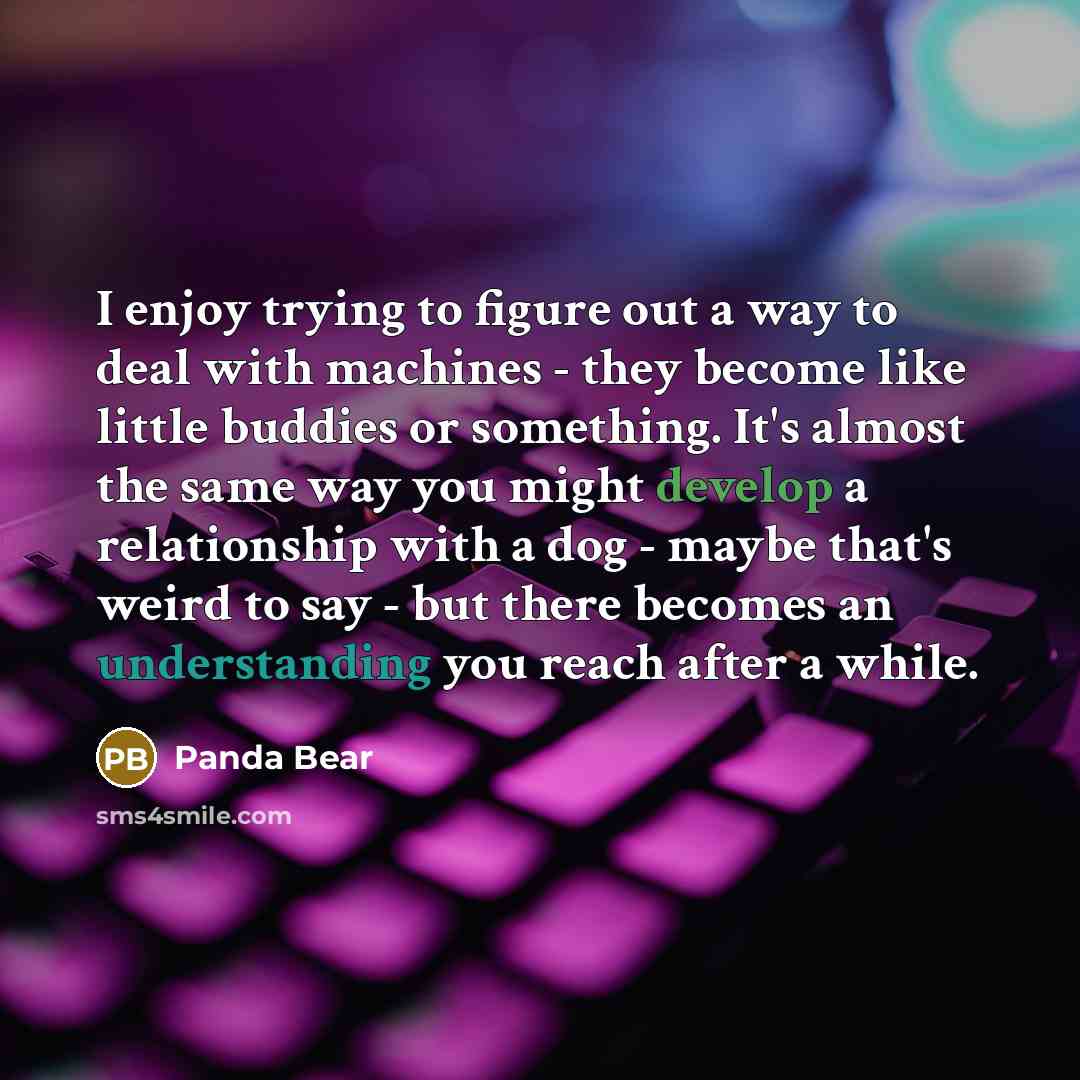 “I enjoy trying to figure out a way to deal…” quote by Panda Bear