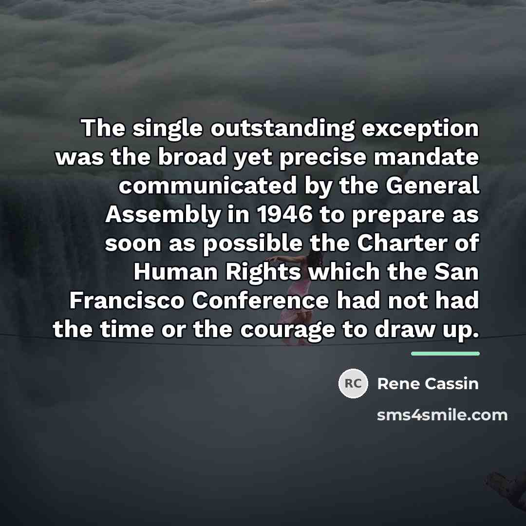 “The single outstanding exception was the broad yet precise mandate…” quote by Rene Cassin