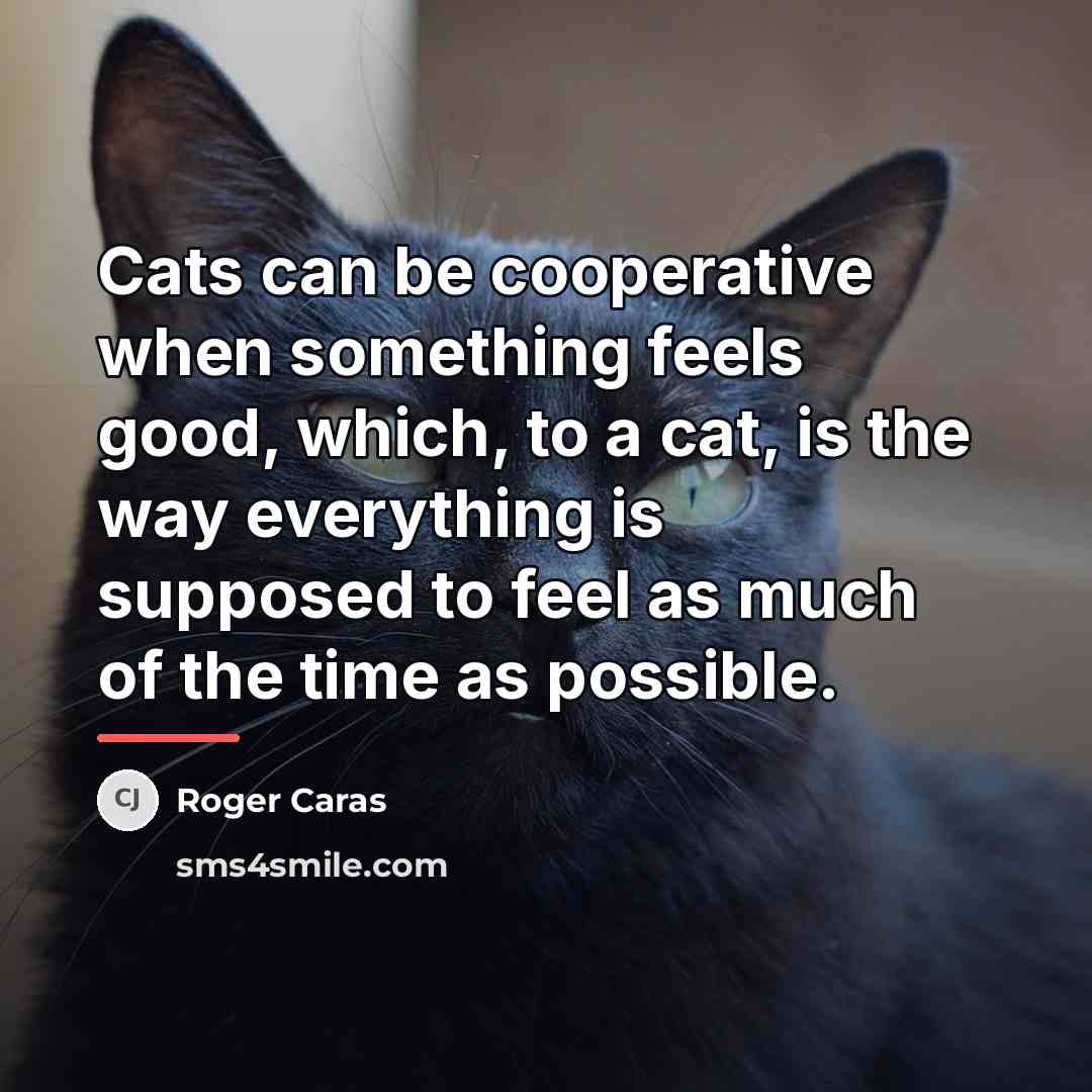 “Cats can be cooperative when something feels good, which, to…” quote by Roger Caras