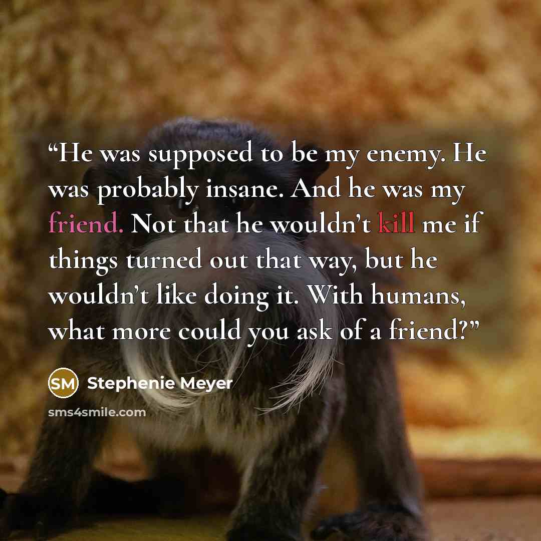 “He was supposed to be my enemy. He was probably insane. And he was my friend. Not that he wouldn’t kill me if things turned out that way, but he wouldn’t like doing it. With humans, what more could you ask of a friend?” quote by Stephenie Meyer