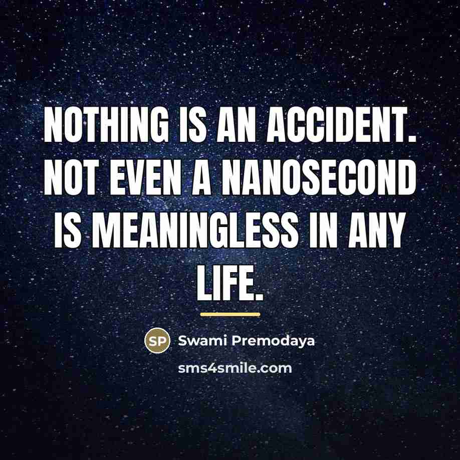 “Nothing is an accident. Not even a nanosecond is meaningless…” quote by Swami Premodaya