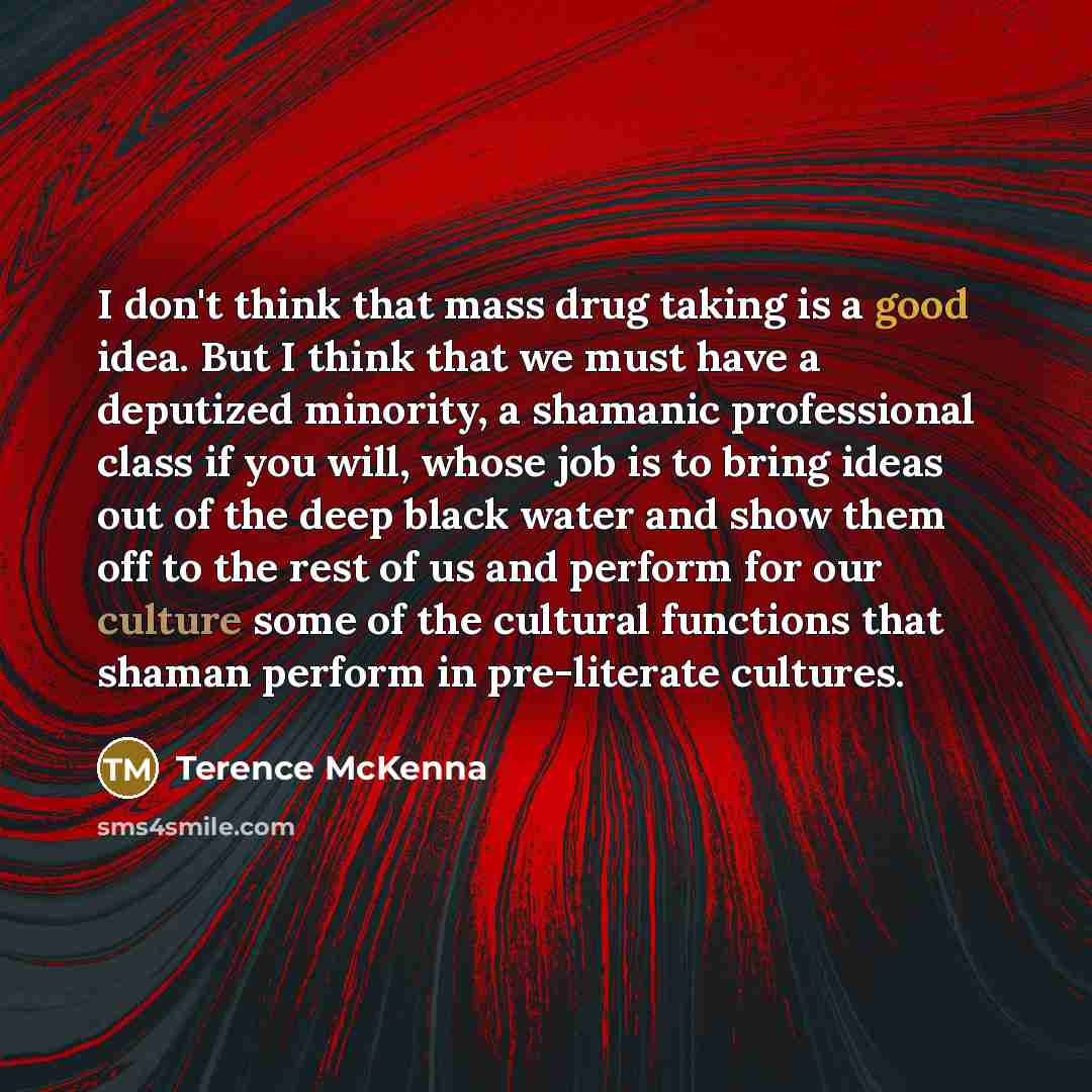 “I don't think that mass drug taking is a good…” quote by Terence McKenna