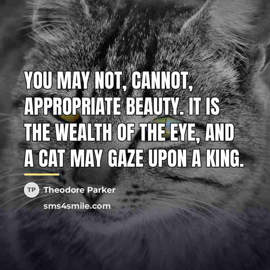 “You may not, cannot, appropriate beauty. It is the wealth…” quote by Theodore Parker