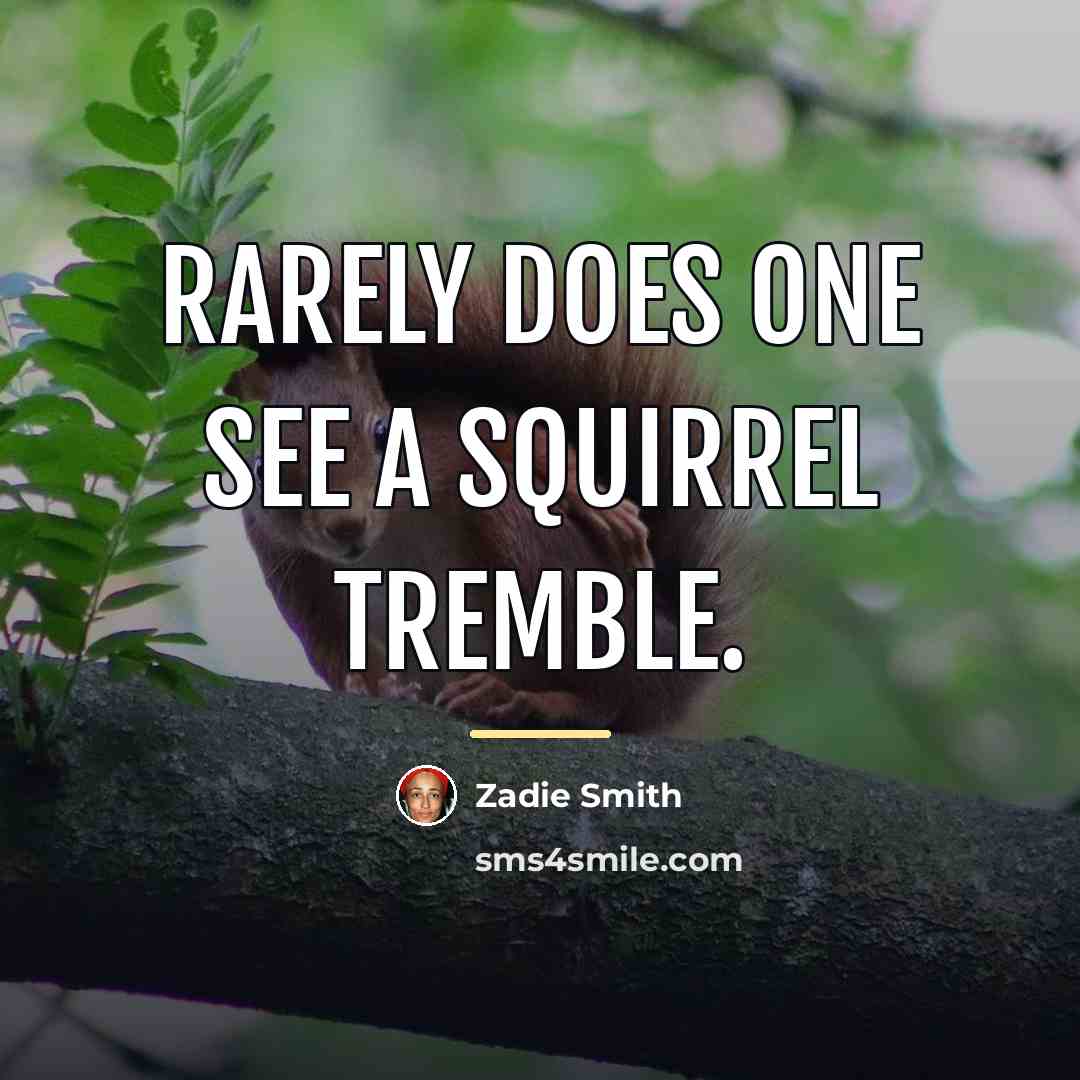 “Rarely does one see a squirrel tremble.…” quote by Zadie Smith