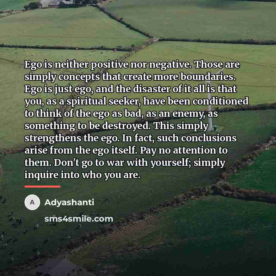 “Ego is neither positive nor negative. Those are simply concepts…” quote by Adyashanti