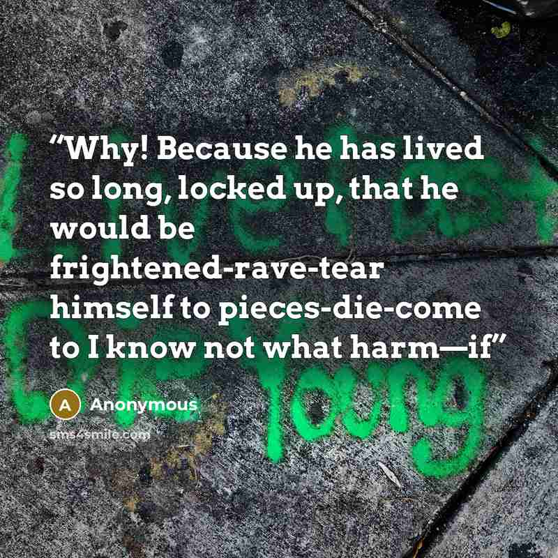 “Why! Because he has lived so long, locked up, that he would be frightened-rave-tear himself to pieces-die-come to I know not what harm—if” quote by Anonymous