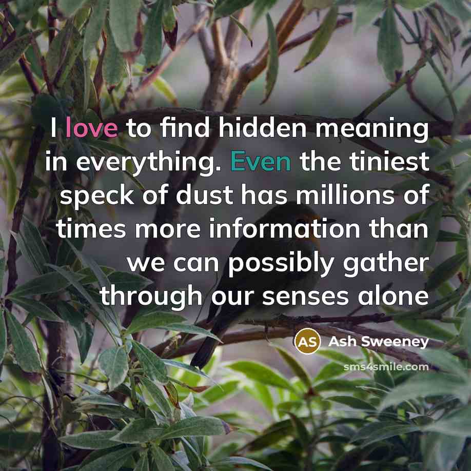 “I love to find hidden meaning in everything. Even the tiniest speck of dust has millions of times more information than we can possibly gather through our senses alone” quote by Ash Sweeney