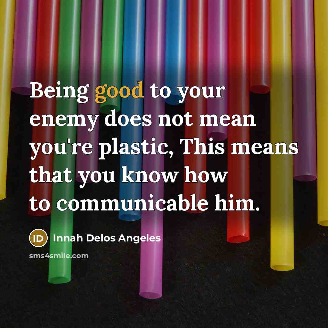 “Being good to your enemy does not mean you're plastic,…” quote by Innah Delos Angeles