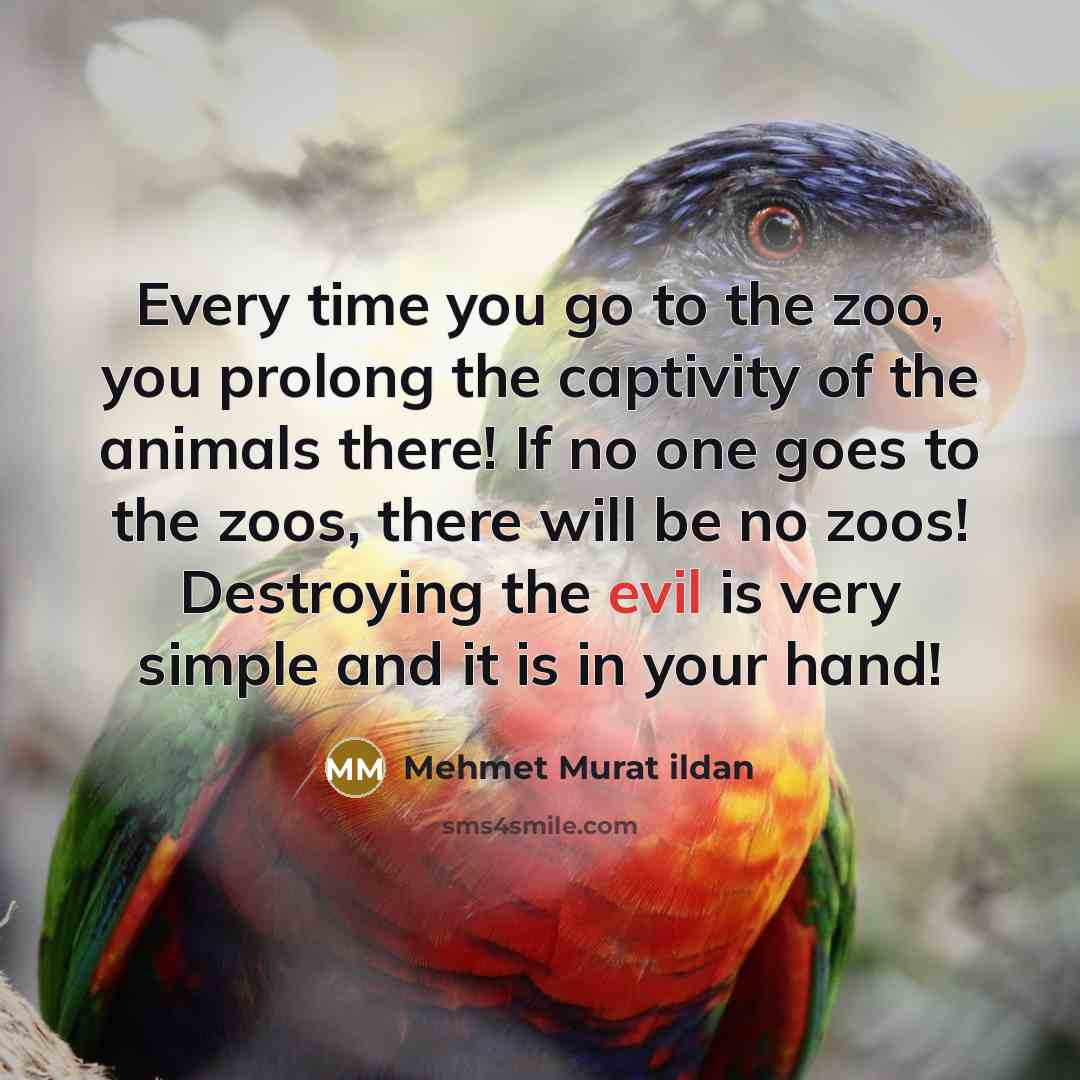 “Every time you go to the zoo, you prolong the…” quote by Mehmet Murat Ildan