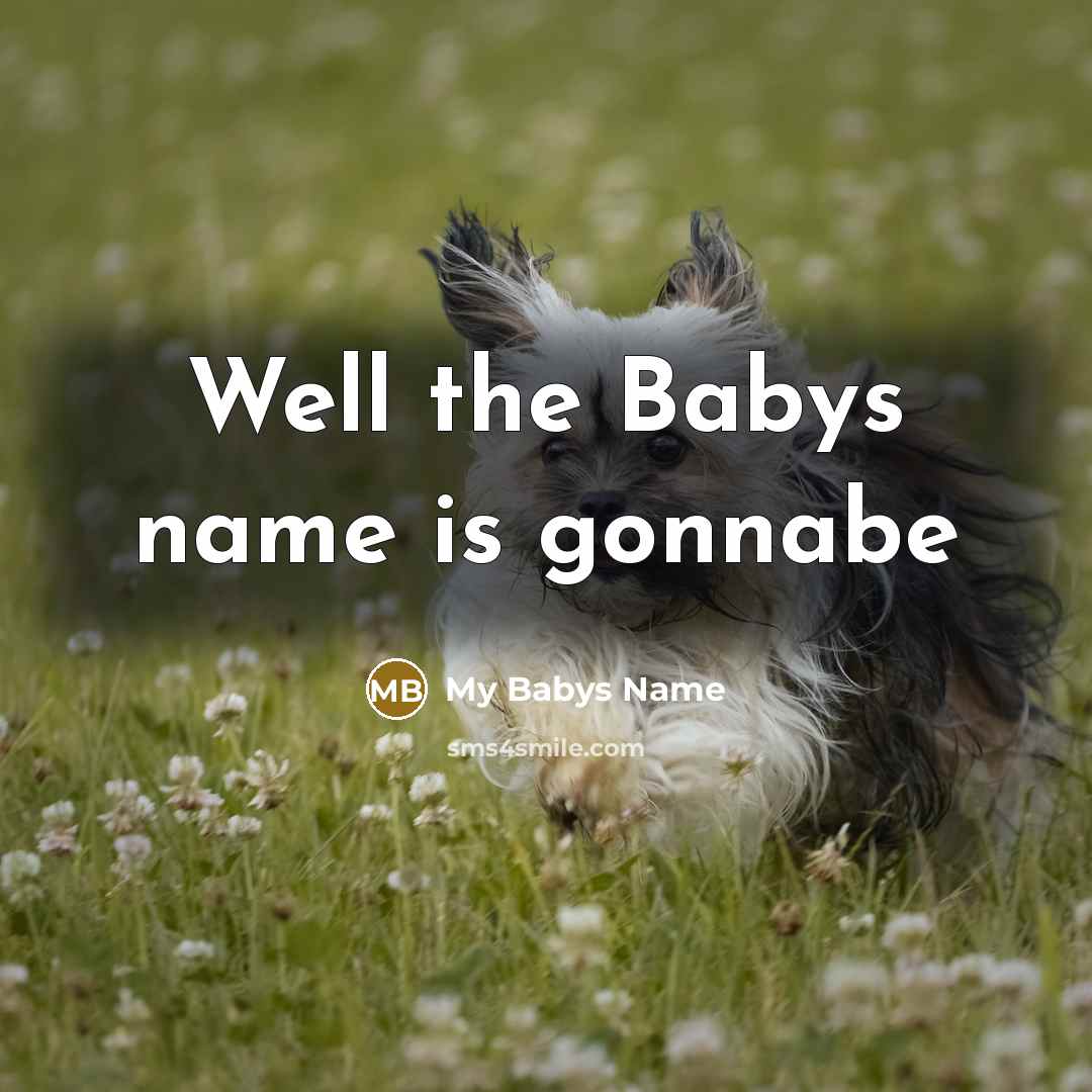 “Well the Babys name is gonnabe” quote by My Babys Name