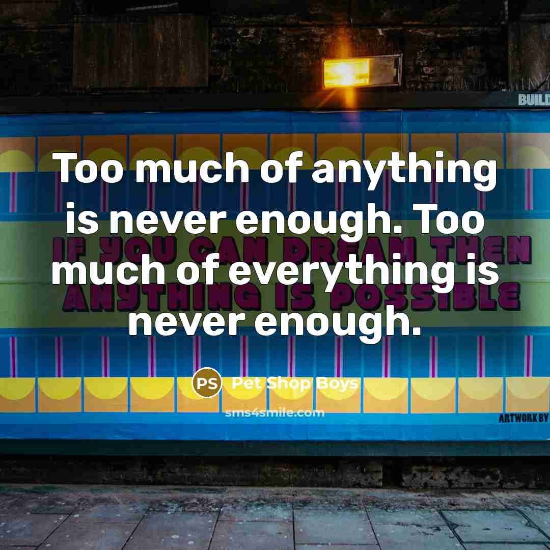 “Too much of anything is never enough. Too much of everything is never enough.” quote by Pet Shop Boys