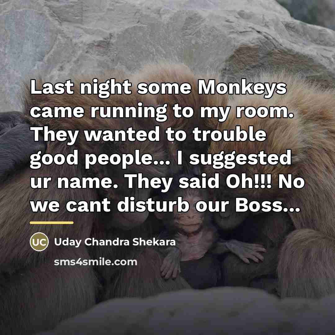 “Last night some Monkeys came running to my room. They…” quote by Uday Chandra Shekara