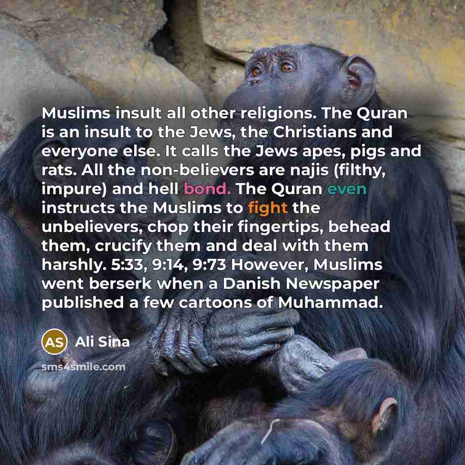 “Muslims insult all other religions. The Quran is an insult…” quote by Ali Sina