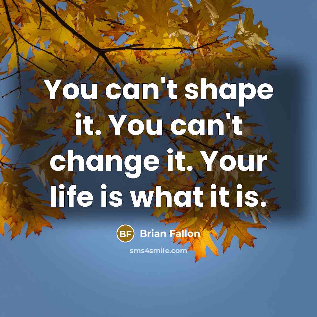 “You can't shape it. You can't change it. Your life…” quote by Brian Fallon