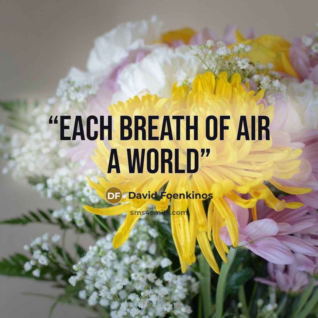 “Each breath of air a world” quote by David Foenkinos