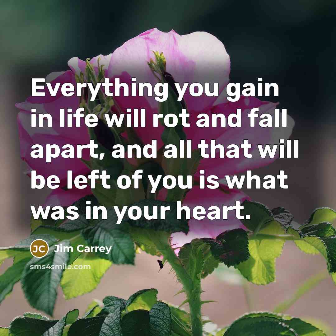 “Everything you gain in life will rot and fall apart,…” quote by Jim Carrey