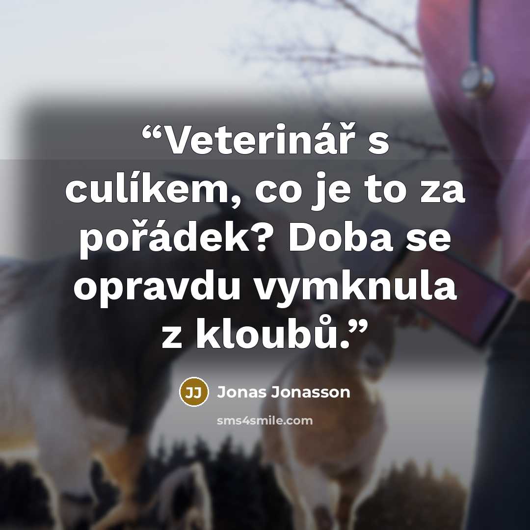 “Veterinář s culíkem, co je to za pořádek? Doba se opravdu vymknula z kloubů.” quote by Jonas Jonasson