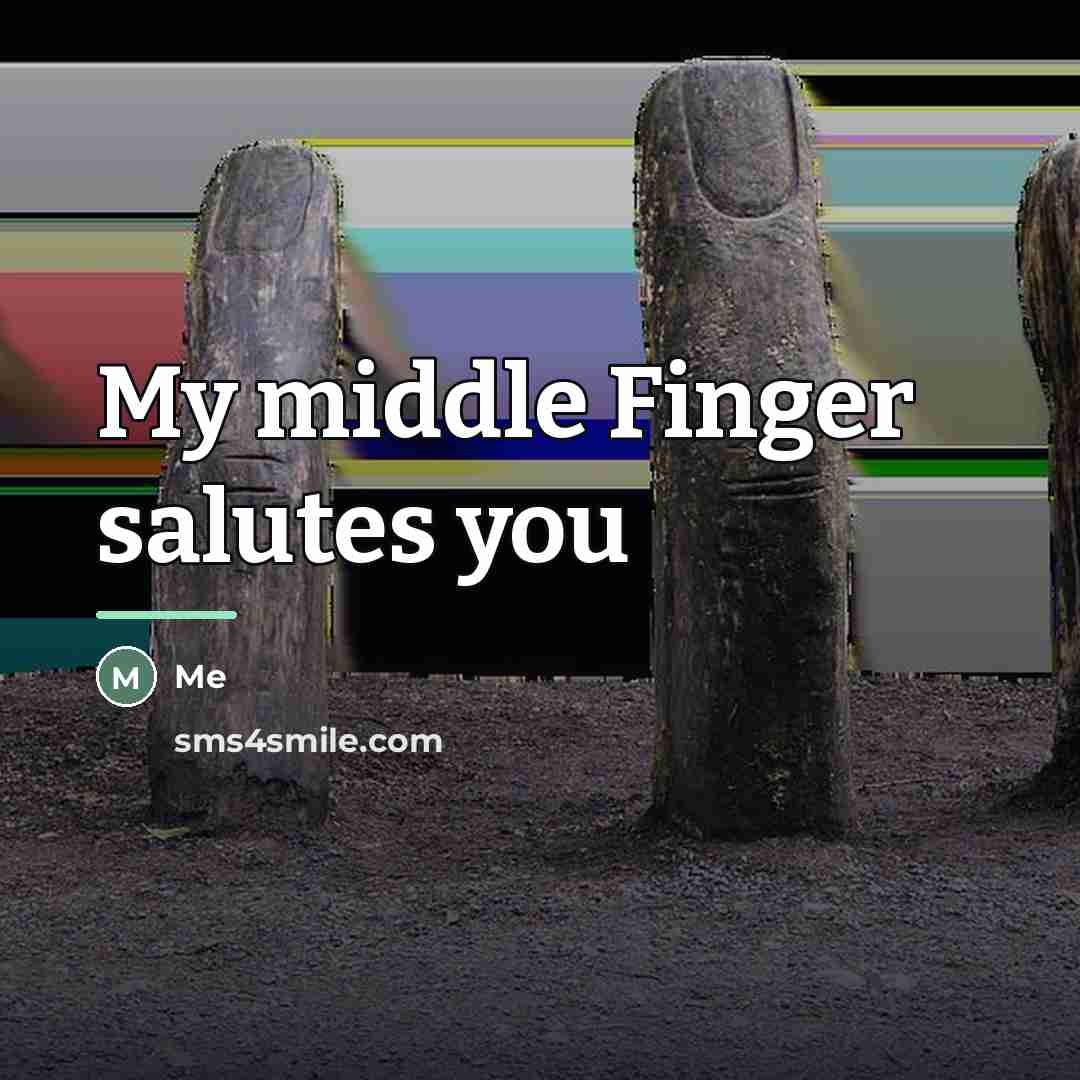 “My middle Finger salutes you…” quote by Me