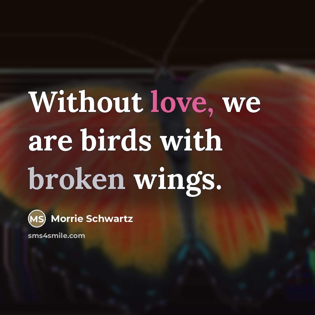 “Without love, we are birds with broken wings.…” quote by Morrie Schwartz