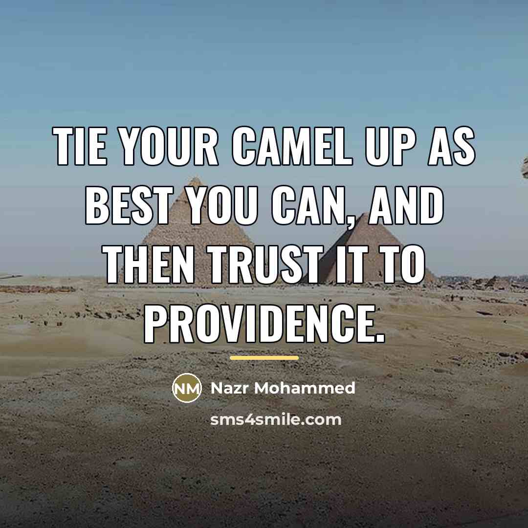 “Tie your camel up as best you can, and then…” quote by Nazr Mohammed