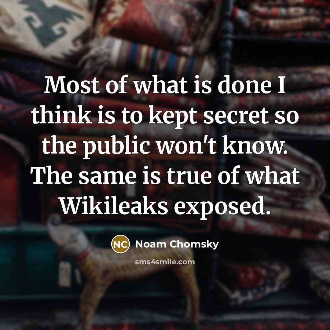 “Most of what is done I think is to kept…” quote by Noam Chomsky