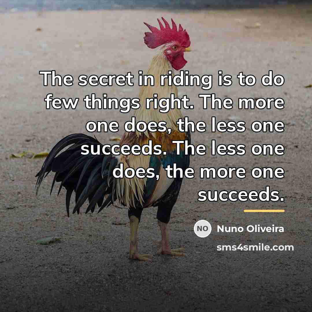 “The secret in riding is to do few things right.…” quote by Nuno Oliveira