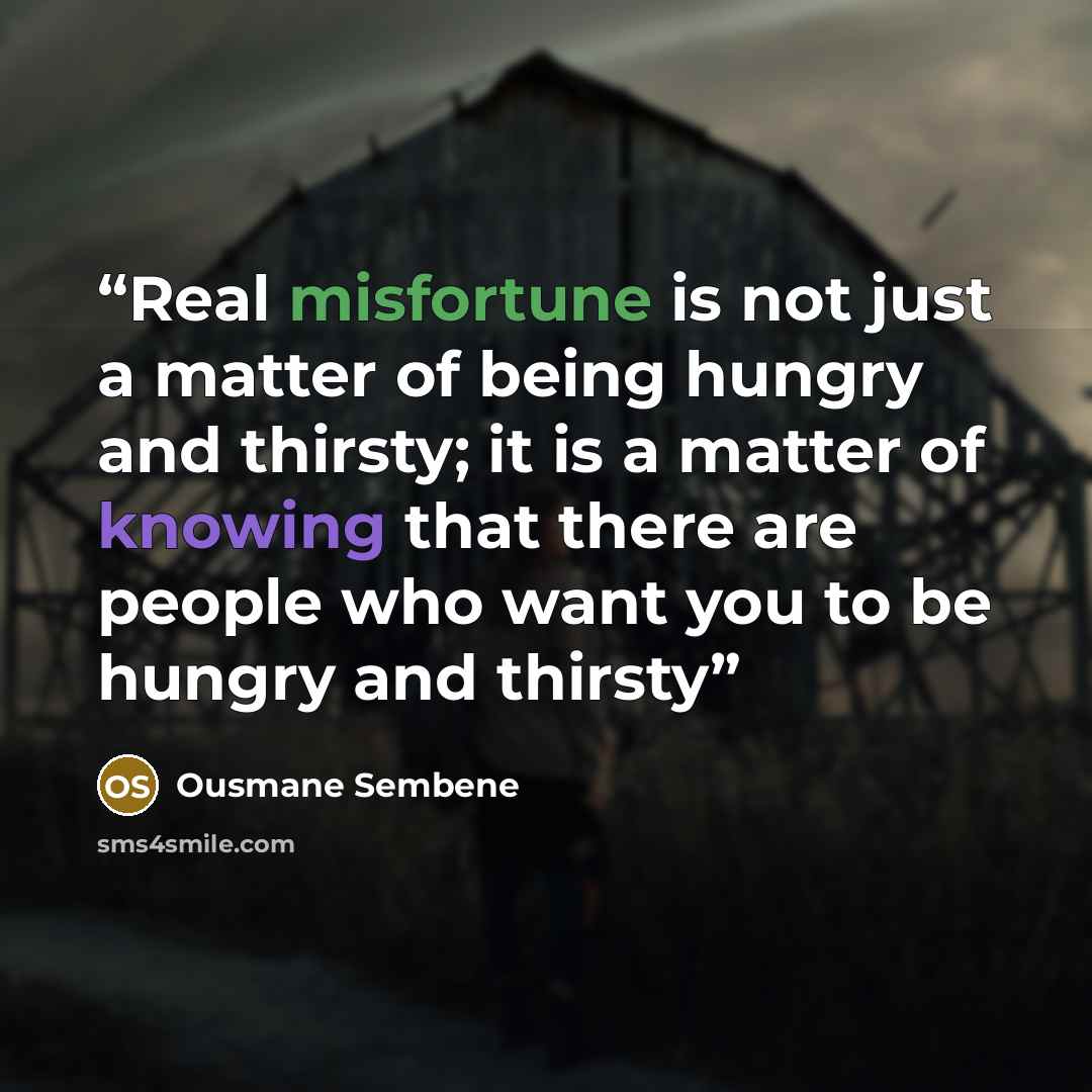 “Real misfortune is not just a matter of being hungry and thirsty; it is a matter of knowing that there are people who want you to be hungry and thirsty” quote by Ousmane Sembène