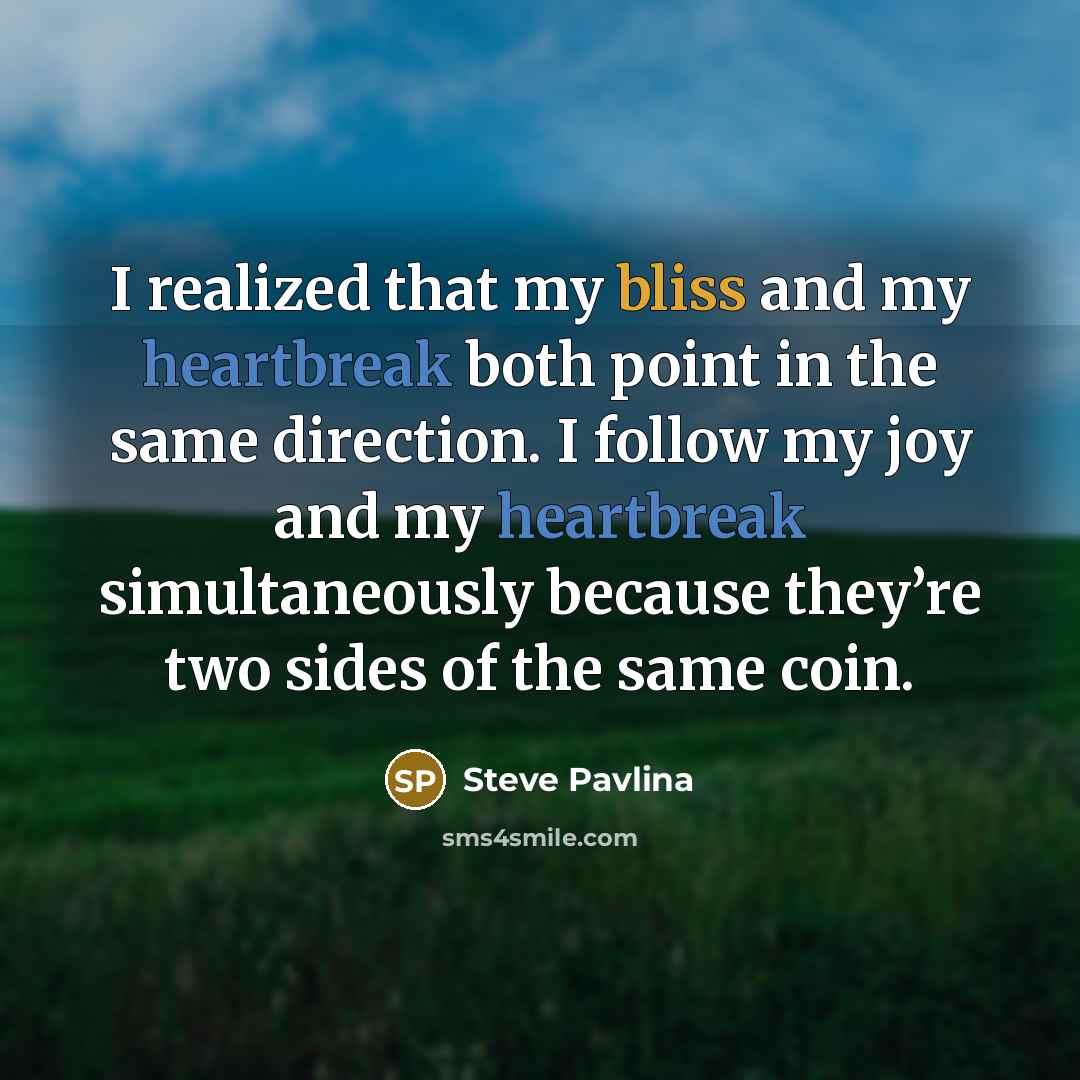 “I realized that my bliss and my heartbreak both point…” quote by Steve Pavlina