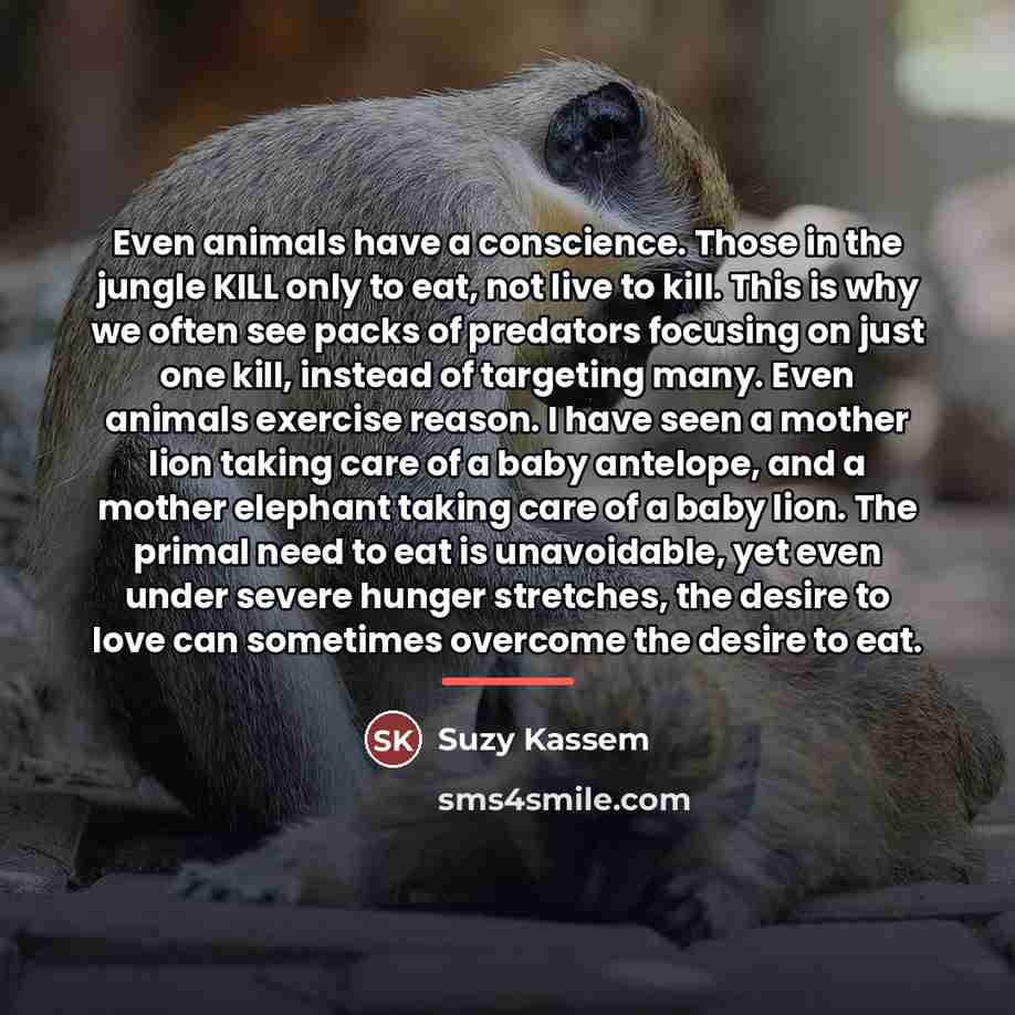 “Even animals have a conscience. Those in the jungle KILL…” quote by Suzy Kassem
