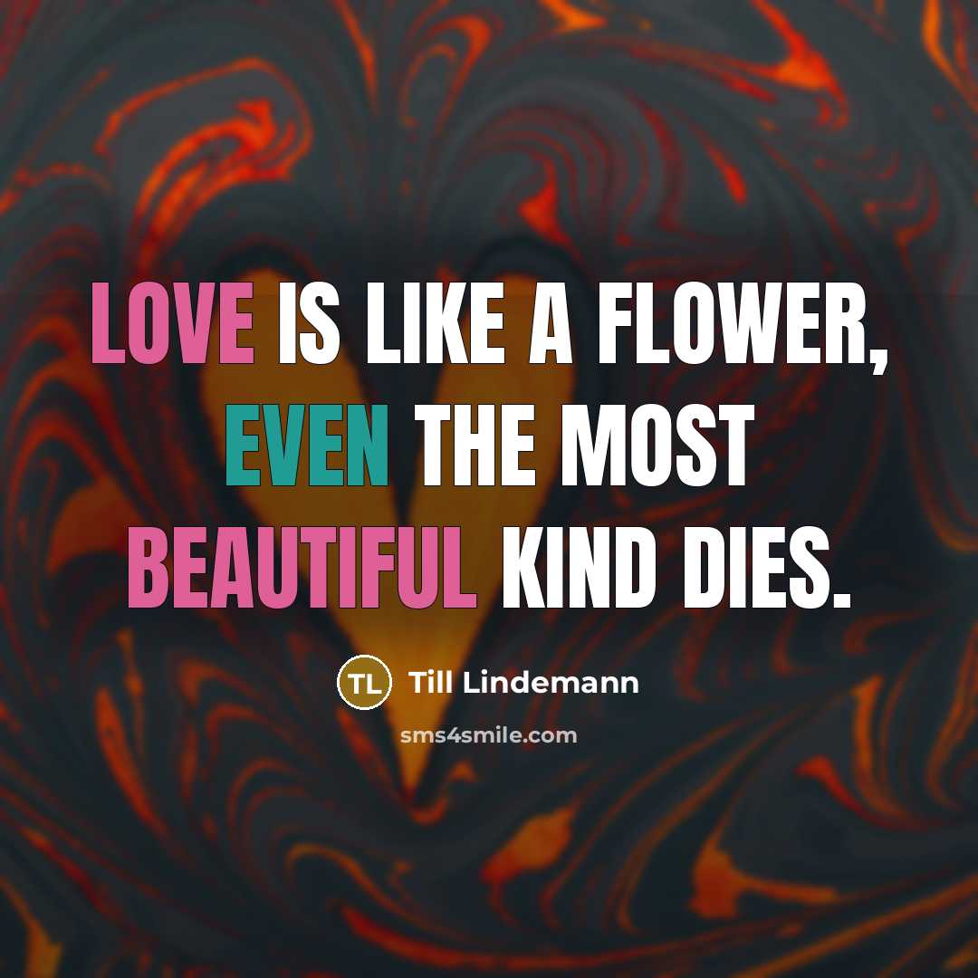 “Love is like a flower, even the most beautiful kind…” quote by Till Lindemann