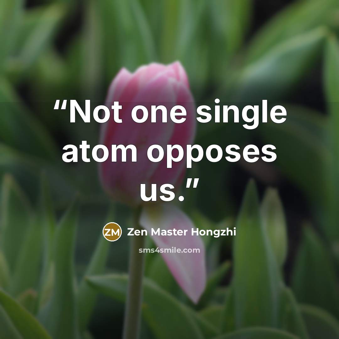 “Not one single atom opposes us.” quote by Zen Master Hongzhi