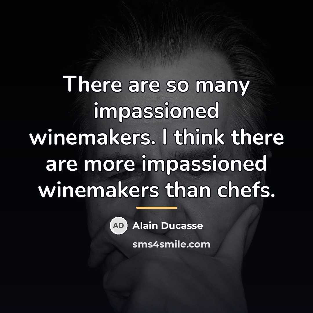 “There are so many impassioned winemakers. I think there are…” quote by Alain Ducasse