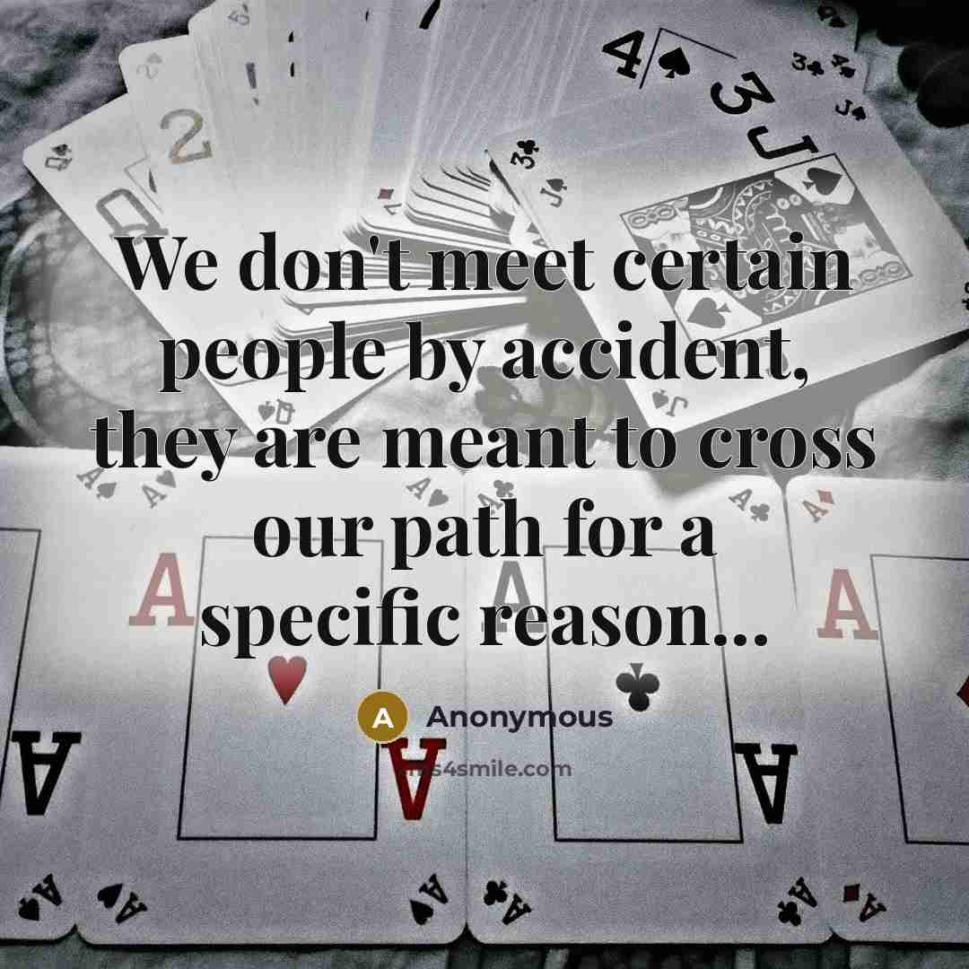 “We don't meet certain people by accident, they are meant…” quote by Anonymous