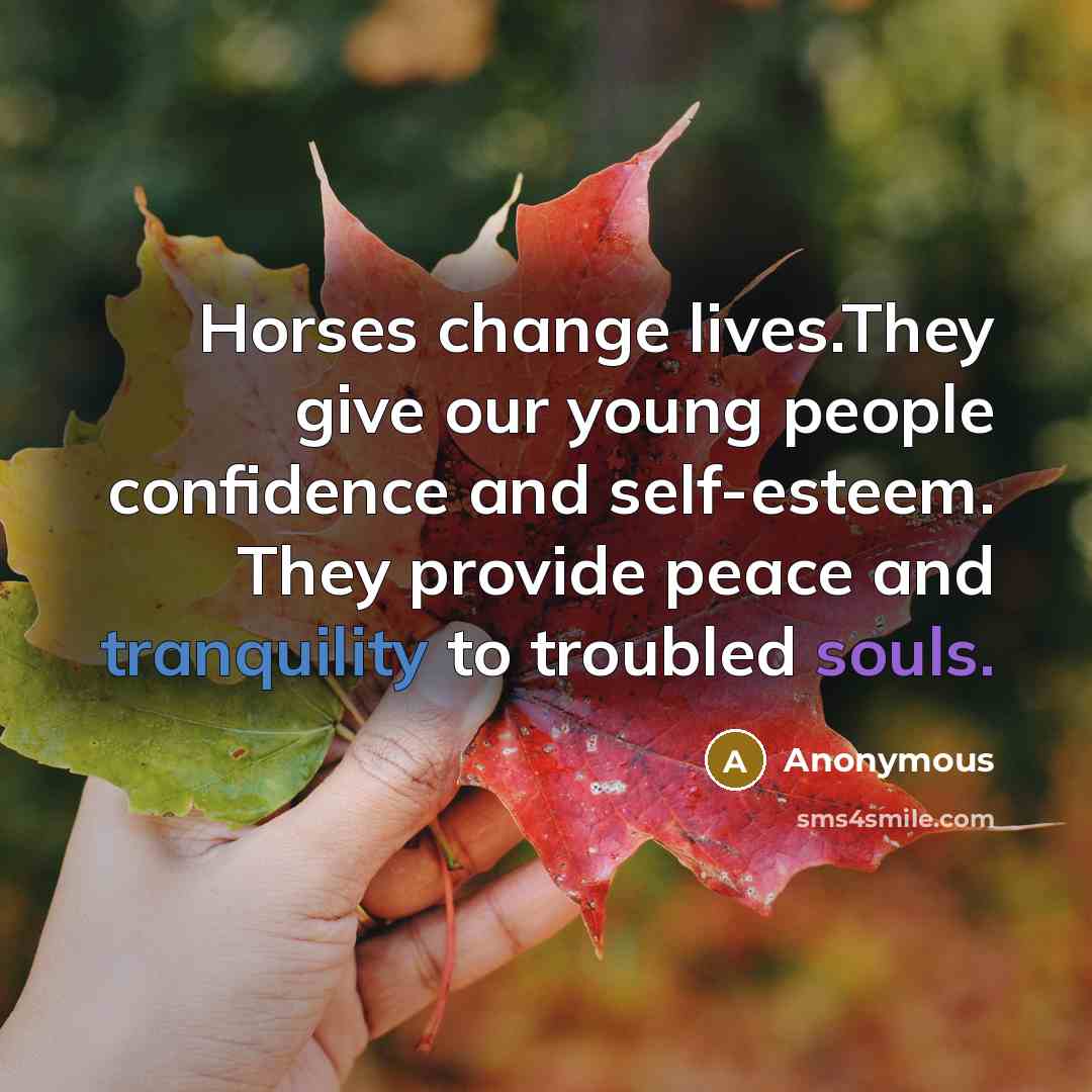 “Horses change lives.They give our young people confidence and self-esteem. They provide peace and tranquility to troubled souls.” quote by Anonymous
