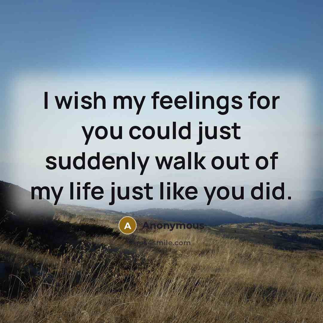 “I wish my feelings for you could just suddenly walk out of my life just like you did.” quote by Anonymous