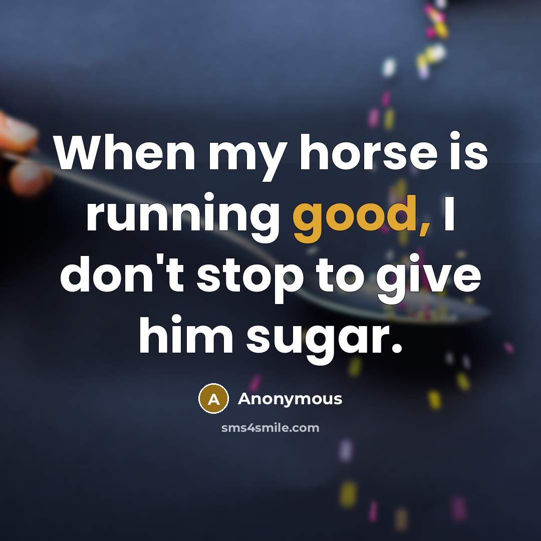 “When my horse is running good, I don't stop to…” quote by Anonymous