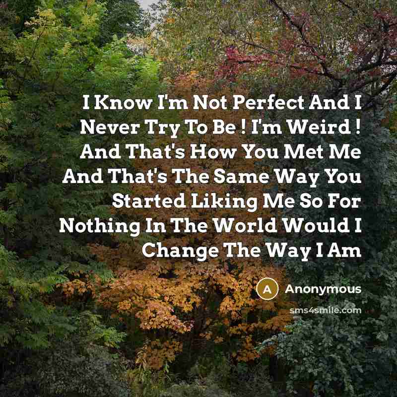 “I Know I'm Not Perfect And I Never Try To…” quote by Anonymous