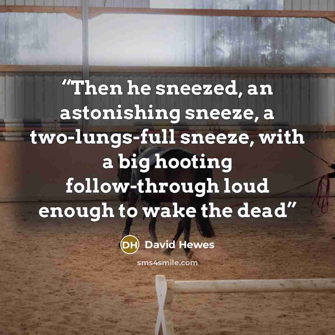 “Then he sneezed, an astonishing sneeze, a two-lungs-full sneeze, with a big hooting follow-through loud enough to wake the dead” quote by David Hewes