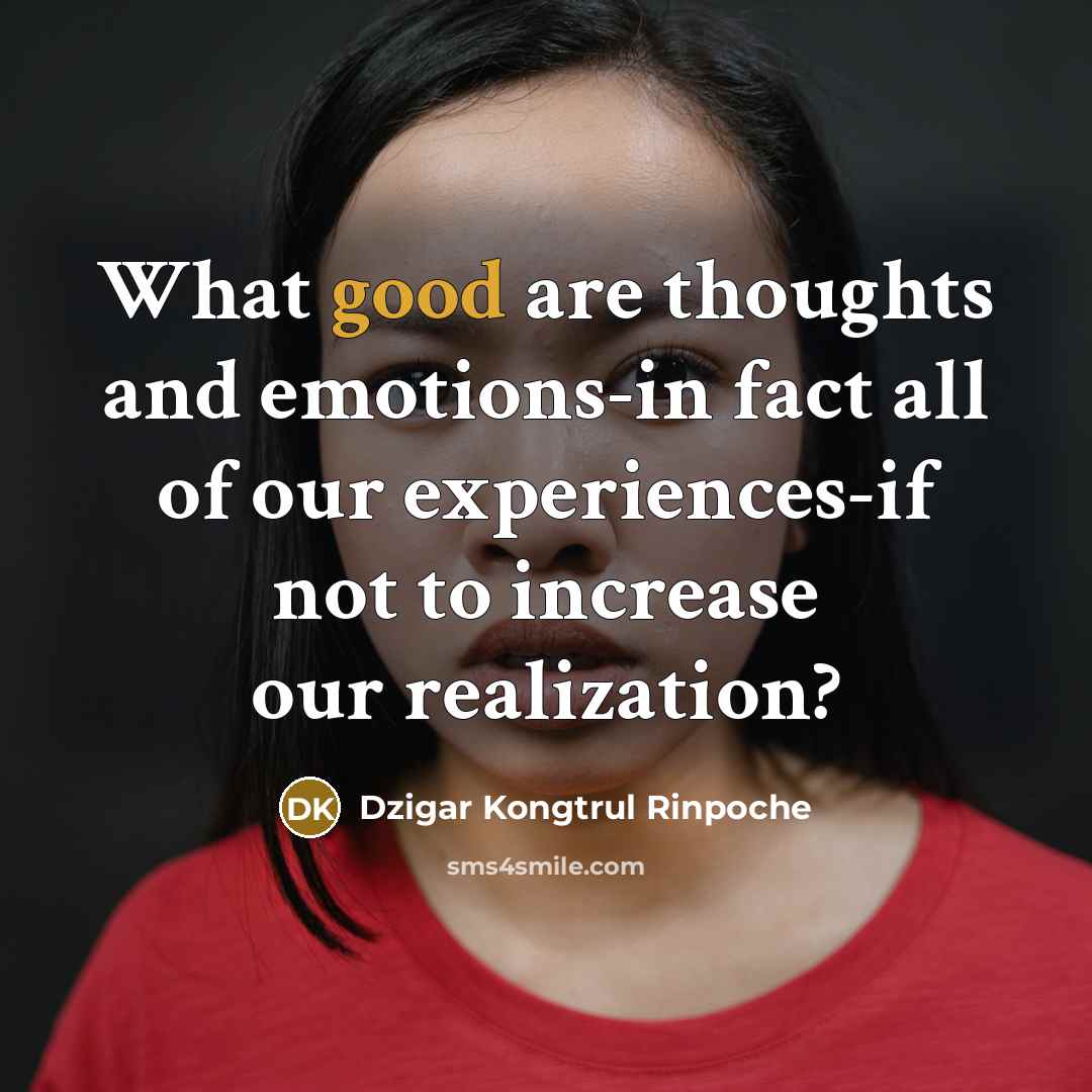 “What good are thoughts and emotions-in fact all of our…” quote by Dzigar Kongtrul Rinpoche