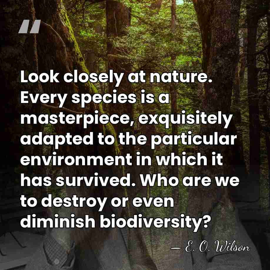 Look closely at nature. Every species is a masterpiece, exquisitely adapted to&hellip; - E. O. Wilson