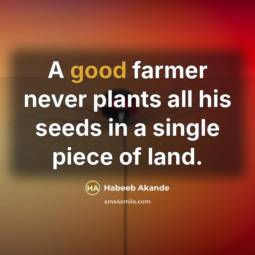 “A good farmer never plants all his seeds in a…” quote by Habeeb Akande