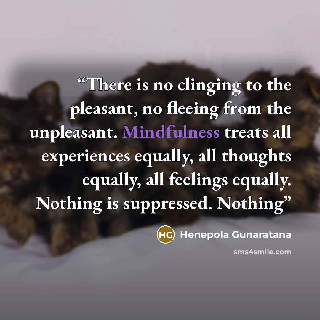 “There is no clinging to the pleasant, no fleeing from the unpleasant. Mindfulness treats all experiences equally, all thoughts equally, all feelings equally. Nothing is suppressed. Nothing” quote by Henepola Gunaratana