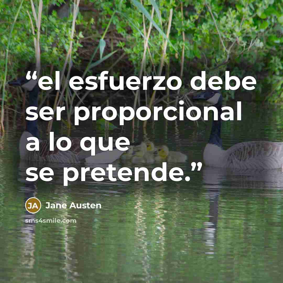“el esfuerzo debe ser proporcional a lo que se pretende.” quote by Jane Austen