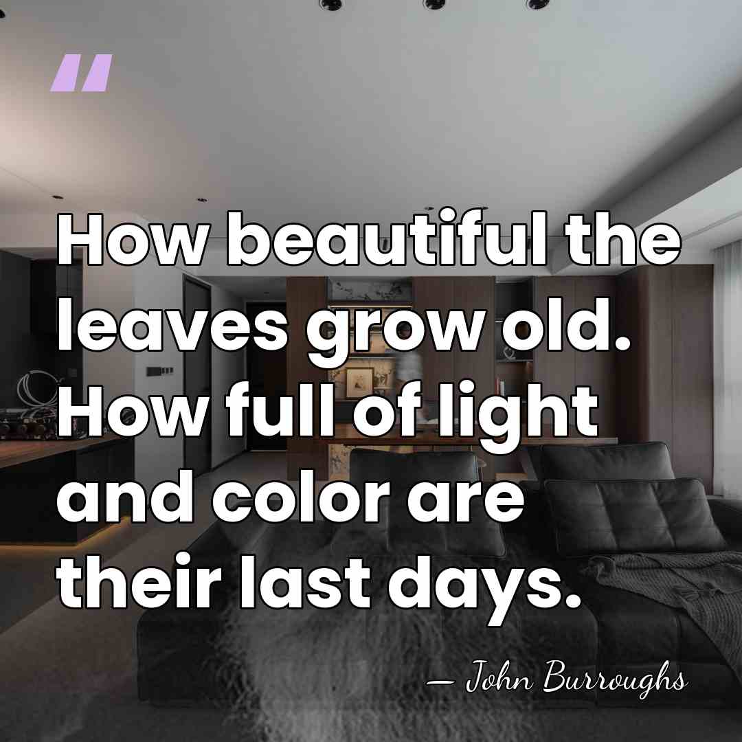 How beautiful the leaves grow old. How full of light and color&hellip; - John Burroughs