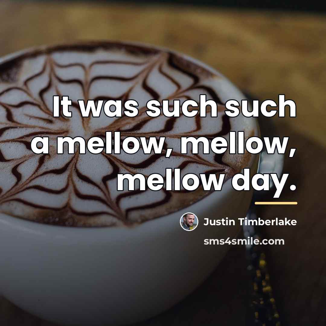 “It was such such a mellow, mellow, mellow day.…” quote by Justin Timberlake