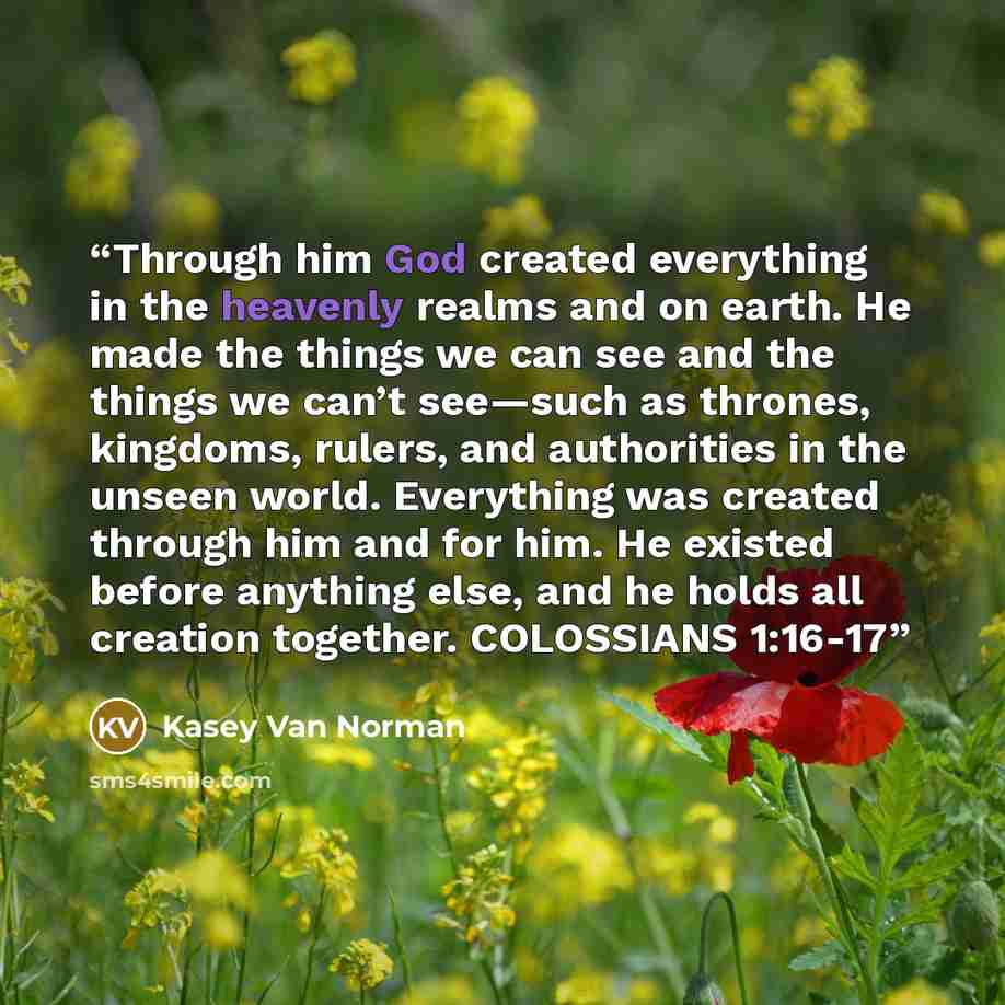 “Through him God created everything in the heavenly realms and on earth. He made the things we can see and the things we can’t see—such as thrones, kingdoms, rulers, and authorities in the unseen world. Everything was created through him and for him. He existed before anything else, and he holds…” quote by Kasey Van Norman