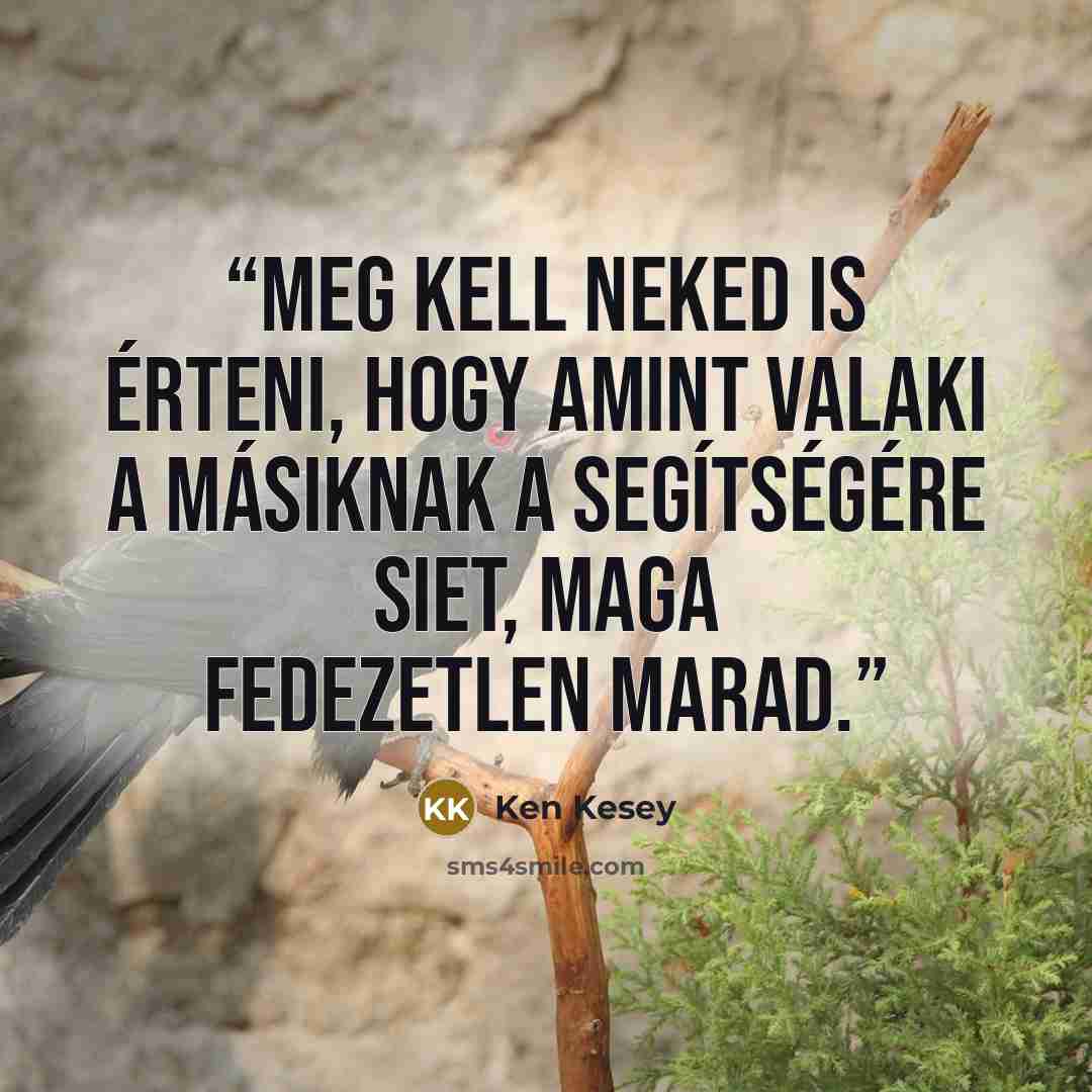 “Meg kell neked is érteni, hogy amint valaki a másiknak a segítségére siet, maga fedezetlen marad.” quote by Ken Kesey