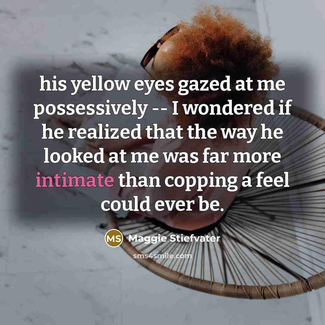 “his yellow eyes gazed at me possessively -- I wondered…” quote by Maggie Stiefvater